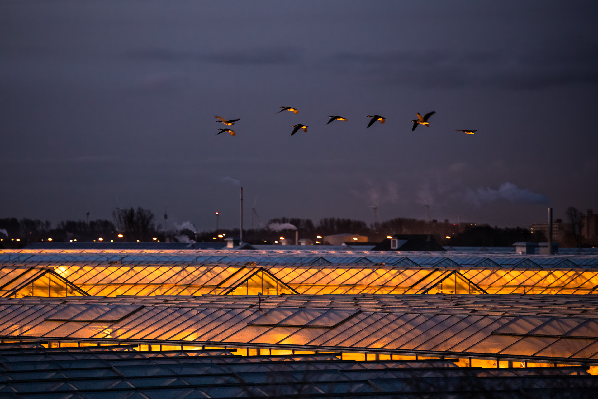 003_MG_9376-bewerkt